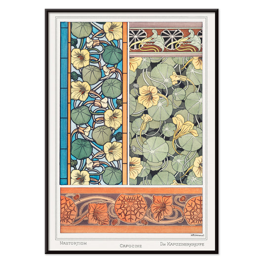 Art Nouveau capucine nasturtium botanical illustration by Maurice Pillard Verneuil from La Plante et ses Applications ornementales, with black aluminium frame on white background