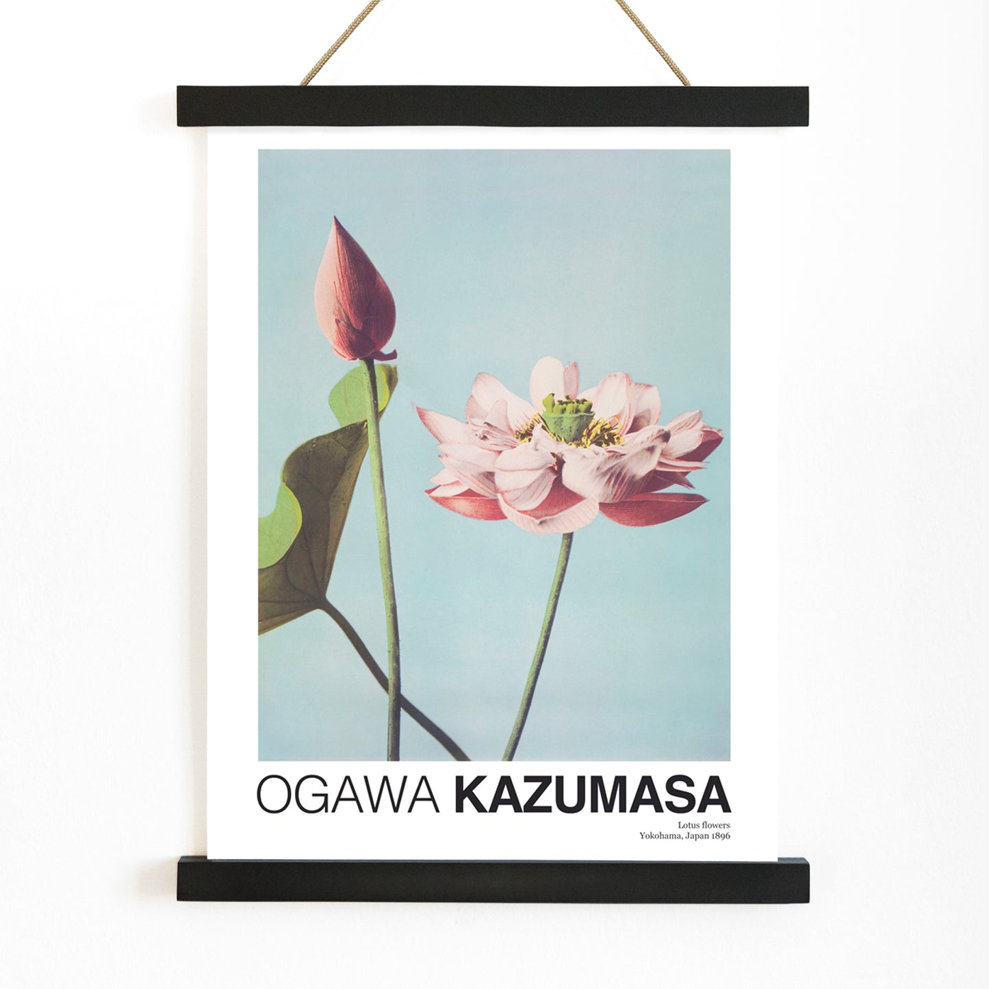 Ogawa Kazumasa Lotus Flowers photomechanical print and poster featuring delicate pink blooms on a light blue background, with wooden magnetic frame on white background