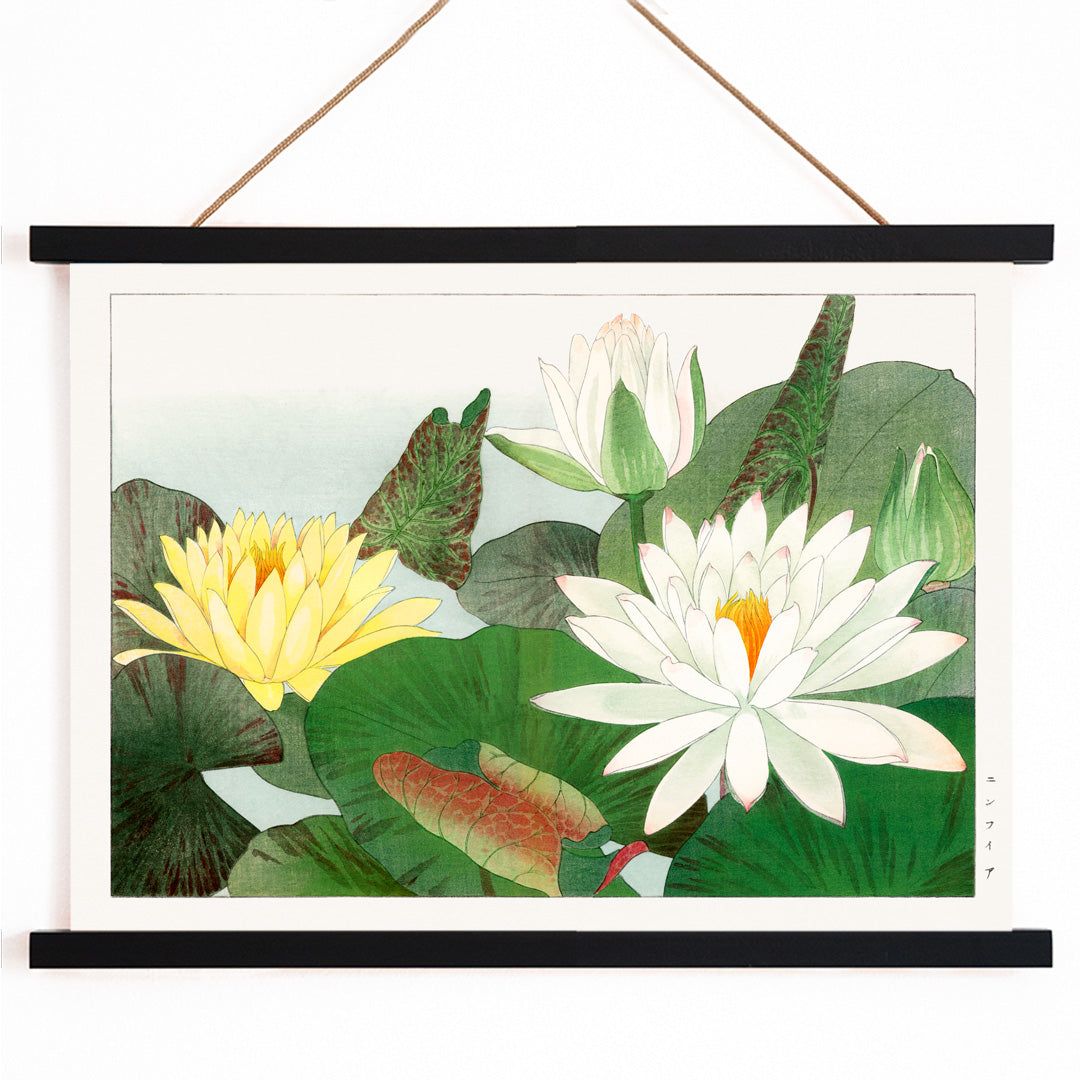 Illustration of yellow and white water lilies with lush green leaves from Nymphaea lotus by Tanigami Konan wall decor poster, with wooden magnetic frame on white background