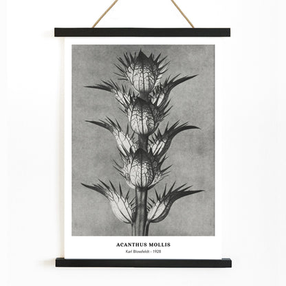 , with wooden magnetic frame on white background