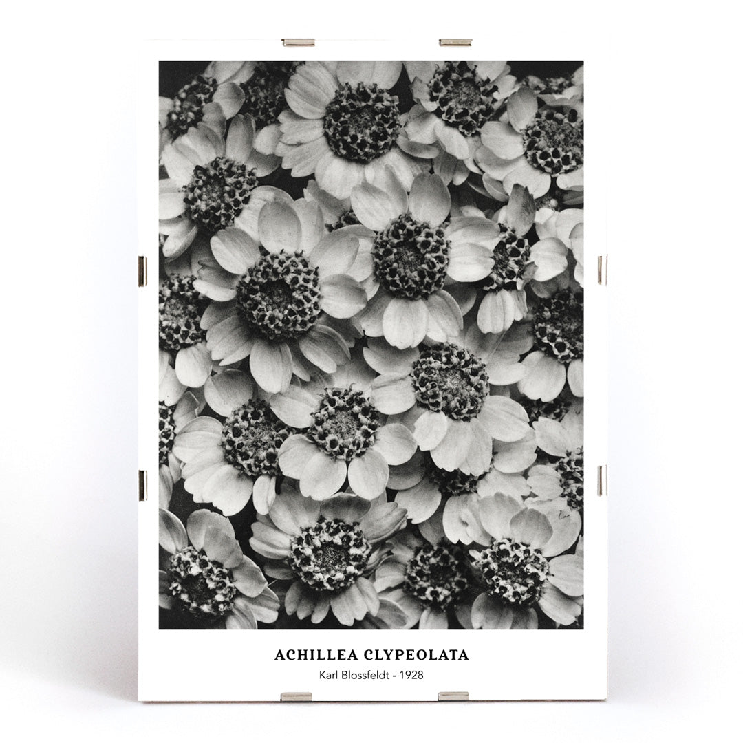 , framed and displayed in modern living room decor