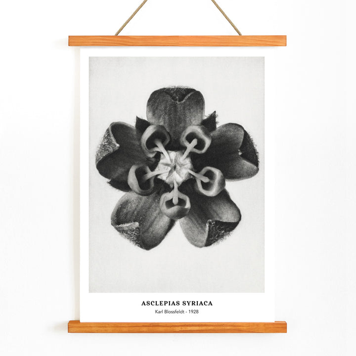 , with wooden magnetic frame on white background
