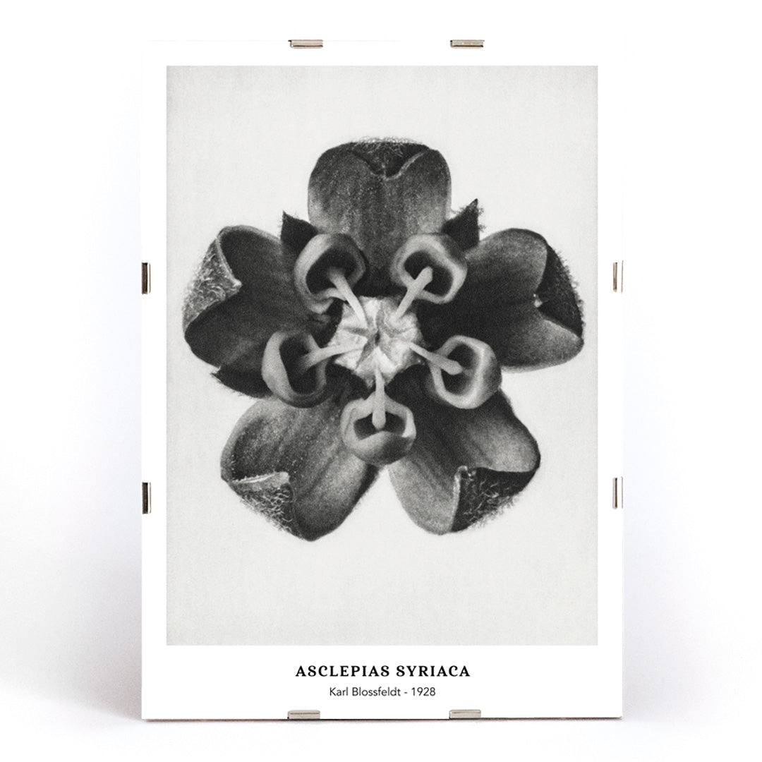 , framed and displayed in modern living room decor