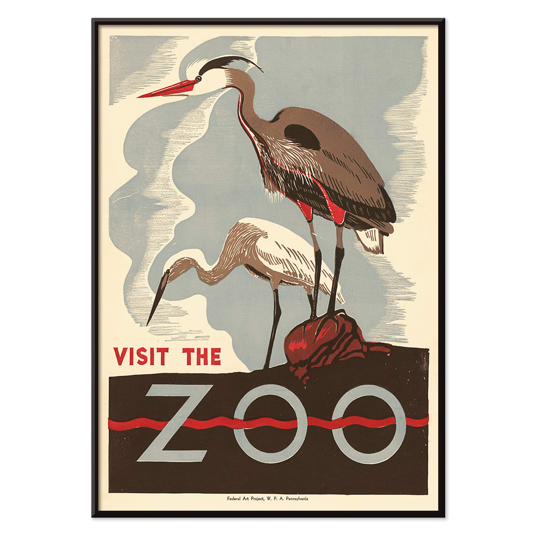 Visit the zoo poster by Federal Art Project WPA Pennsylvania showing two herons standing on a rock with text by the artist, with black aluminium frame on white background