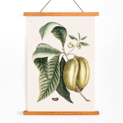 , with wooden magnetic frame on white background