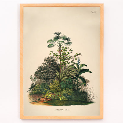 Closeup detail of Botanical illustration poster of Mauritia Armata from Historia Naturalis Palmarum by Carl Friedrich Philipp von Martius featuring detailed tropical plants