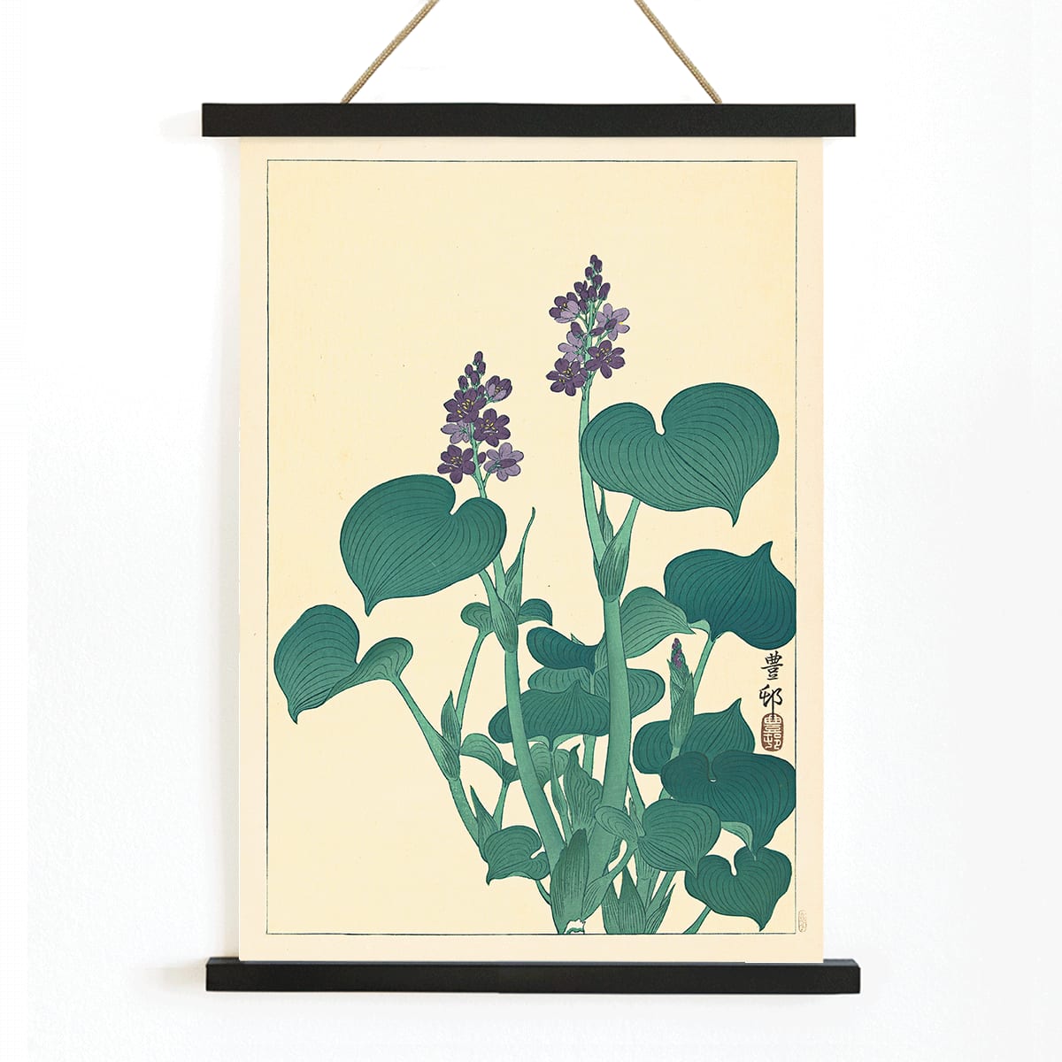 Botanical illustration and poster of green hosta plant with purple flowers by Ohara Koson in Japanese botanical art style, with wooden magnetic frame on white background