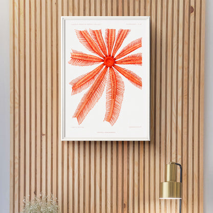 , framed and displayed in home decor