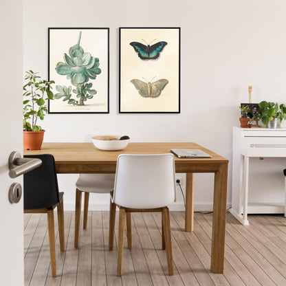 Colorful detailed butterflies by Georgius Jacobus Johannes van Os on cream background illustration and poster, framed and displayed in home decor