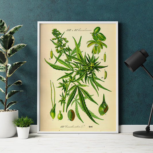 , framed and displayed in home decor