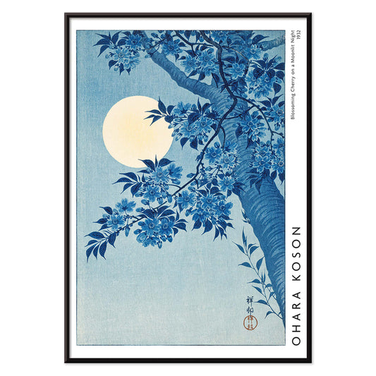 Cherry blossoms and full moon by Ohara Koson poster showing cherry tree in full bloom under moon Blossoming Cherry on a Moonlit Night, with black aluminium frame on white background