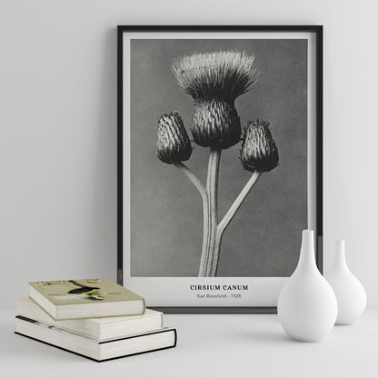 , framed and displayed in home decor