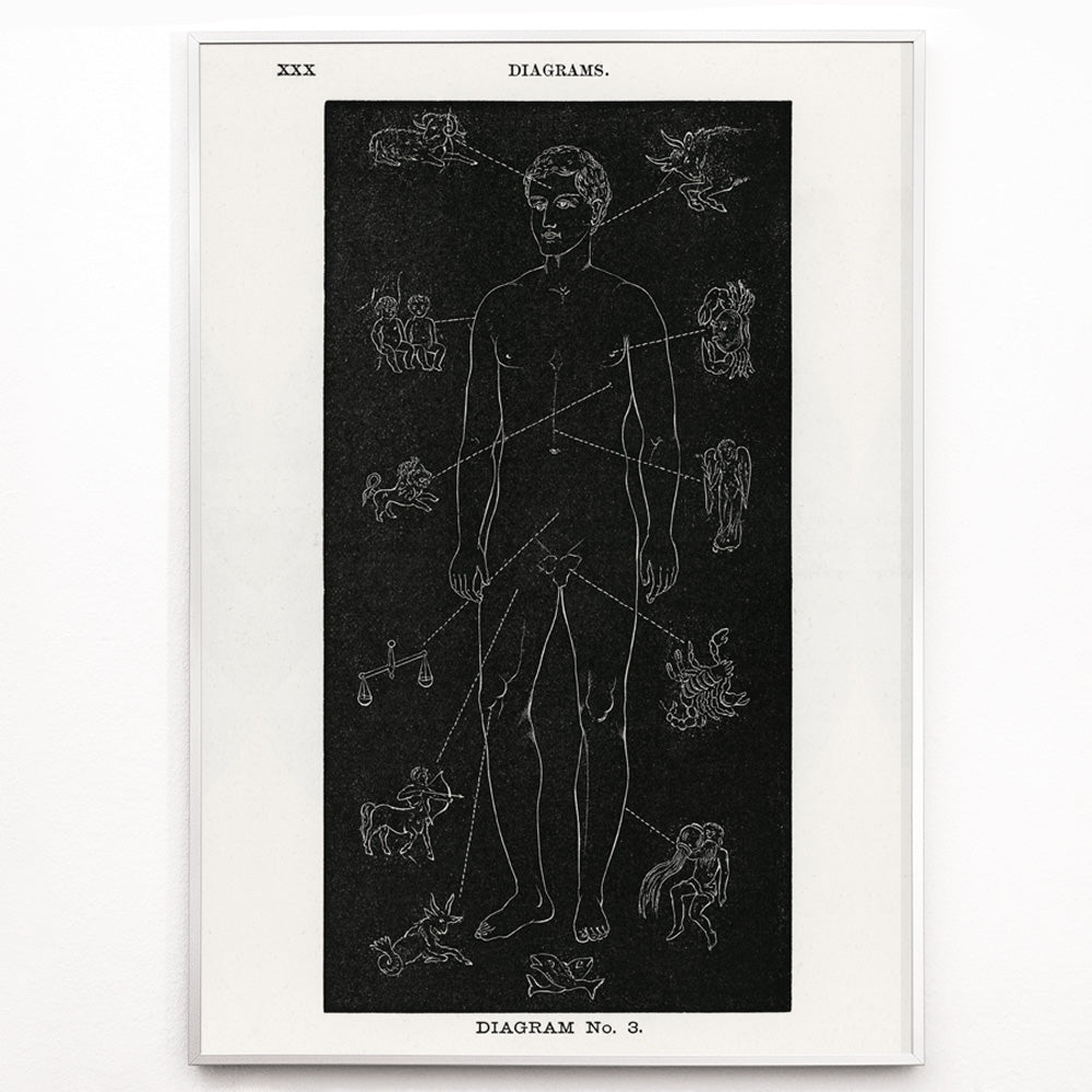 Closeup detail of Human body diagram with astrological zodiac symbols and body part connections from Solar Biology by Hiram Erastus Butler