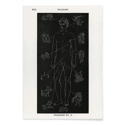 Human body diagram with astrological zodiac symbols and body part connections from Solar Biology by Hiram Erastus Butler, with black aluminium frame on white background