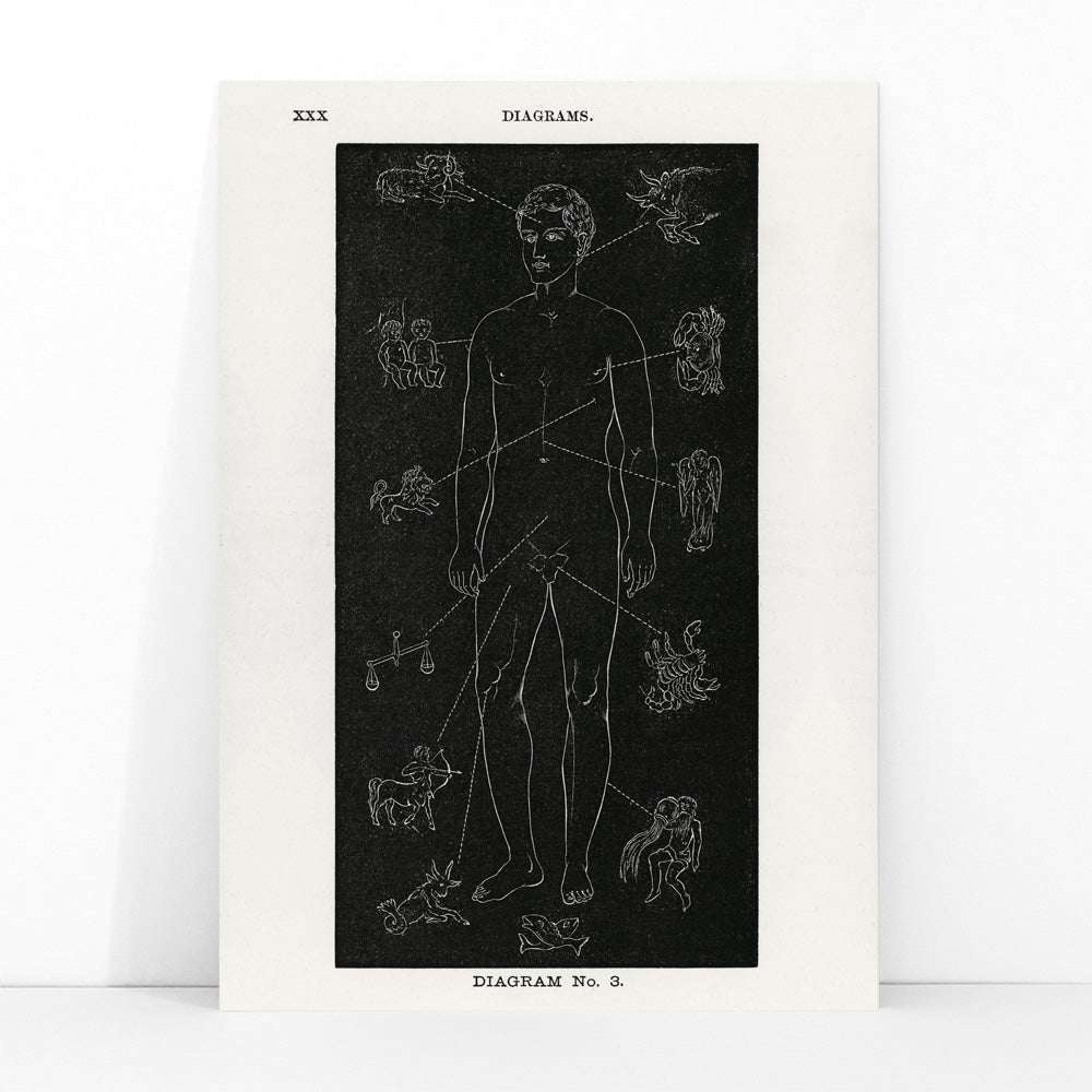 Human body diagram with astrological zodiac symbols and body part connections from Solar Biology by Hiram Erastus Butler, framed and displayed in modern living room decor