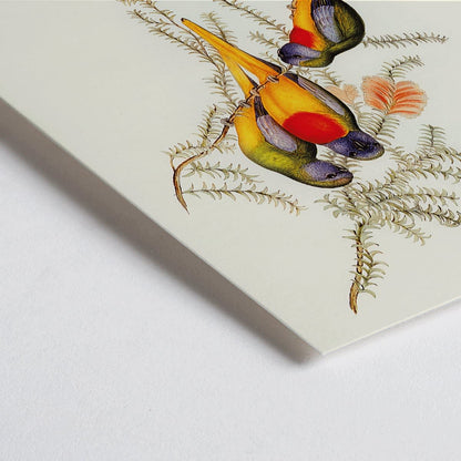 Closeup detail of Splendid Grass-Parakeet artwork by Euphema Splendida featuring three vibrant birds perched on colorful foliage