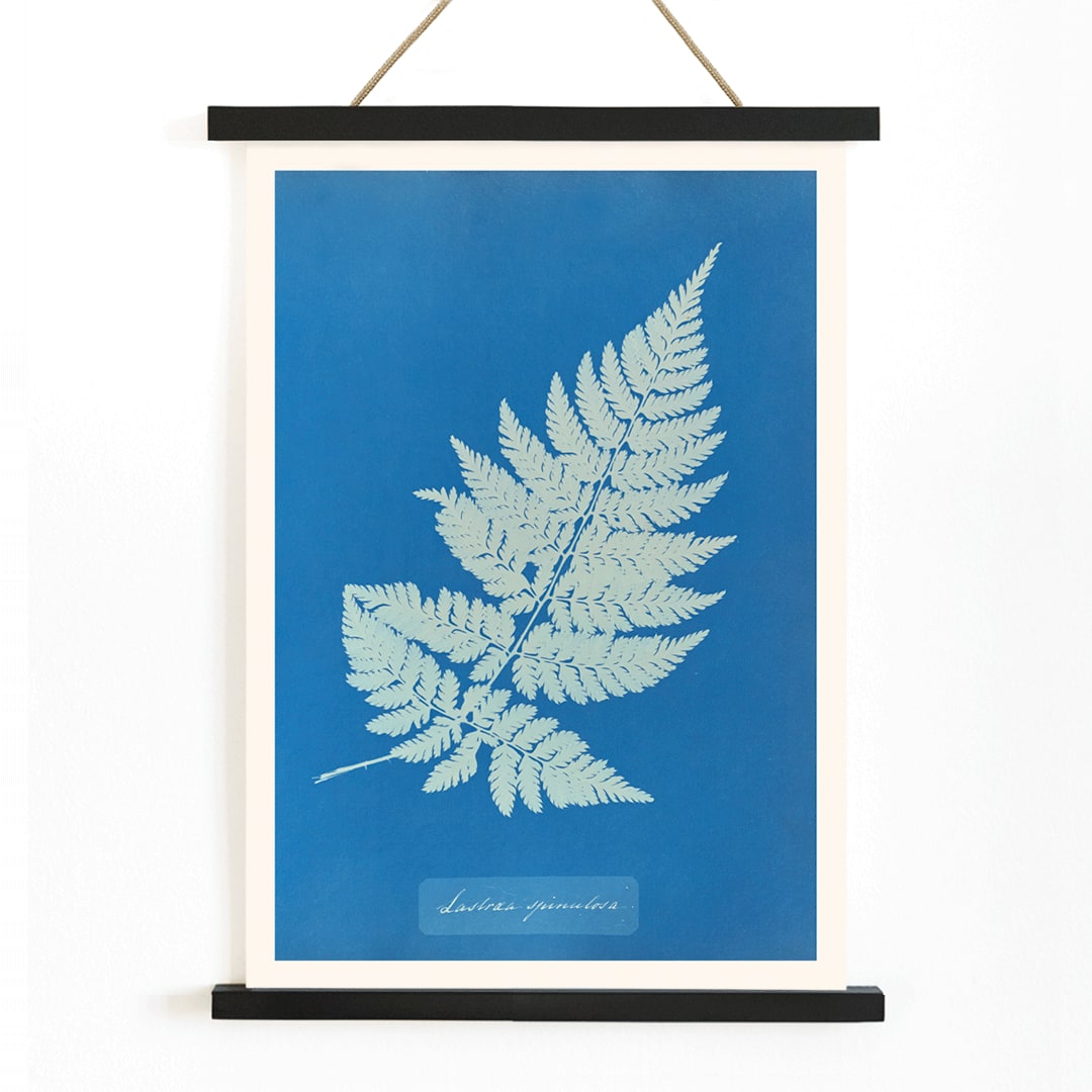 Botanical cyanotype artwork and framed poster of Lastrea Spinulosa by Anna Atkins featuring a detailed fern leaf on a deep blue background, with wooden magnetic frame on white background
