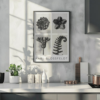 , framed and displayed in home decor