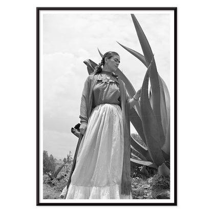 Frida Kahlo standing by agave plant black and white photograph and poster by Toni Frissell titled Senora Diego Rivera, with black aluminium frame on white background