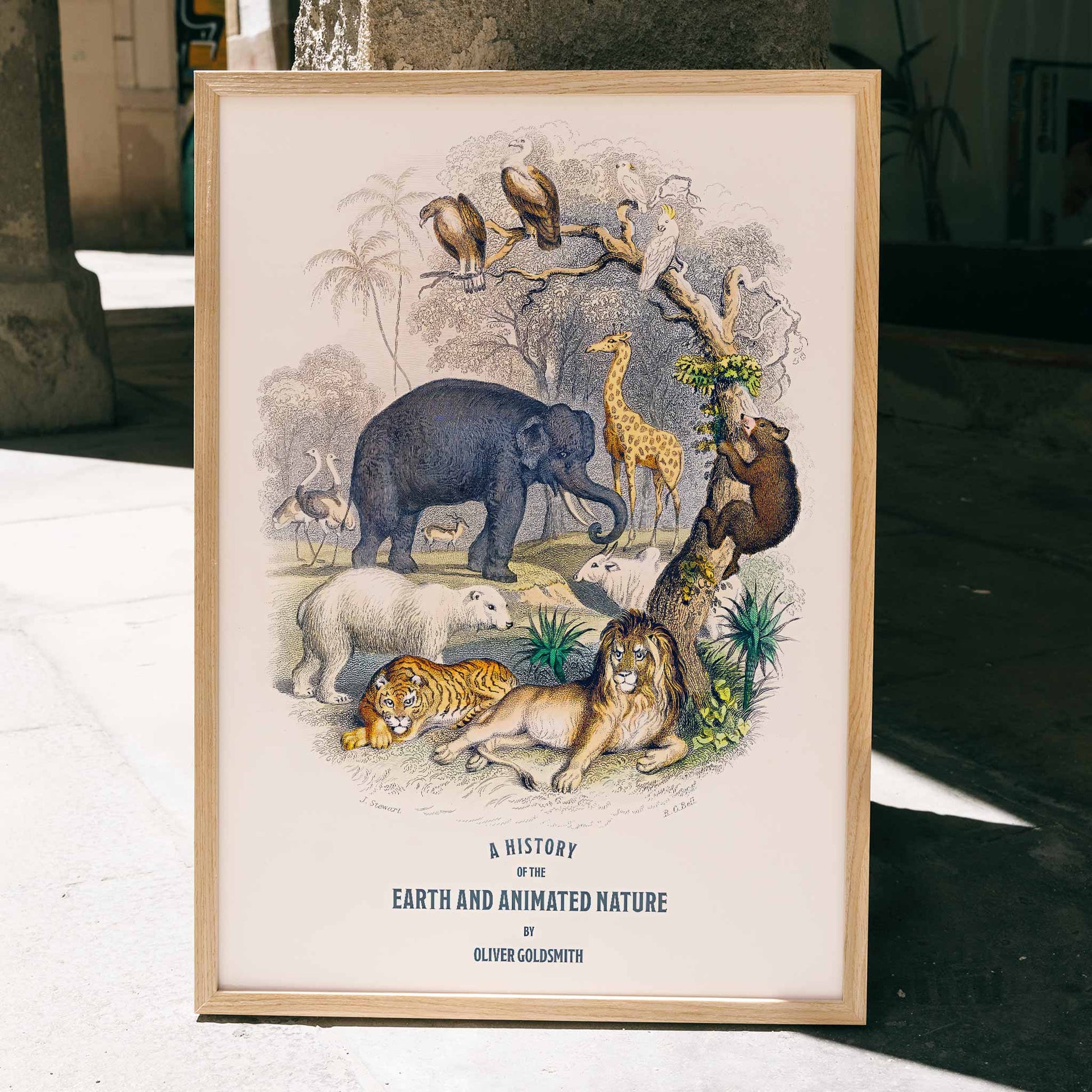 Wild animals and birds illustrated on the cover of A history of the earth and animated nature by Oliver Goldsmith poster, framed and displayed in home decor