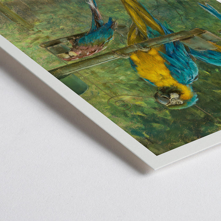Closeup detail of Colorful blue and yellow macaws perched in a lush green forest poster by Berthe Art