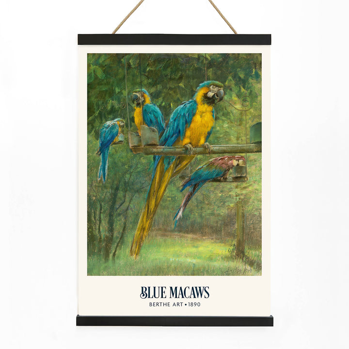 Colorful blue and yellow macaws perched in a lush green forest poster by Berthe Art, with wooden magnetic frame on white background