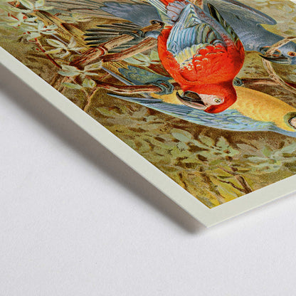 Closeup detail of Colorful macaws perched on tree branches in a lush forest vibrant macaw artwork poster