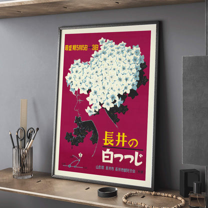 , framed and displayed in home decor