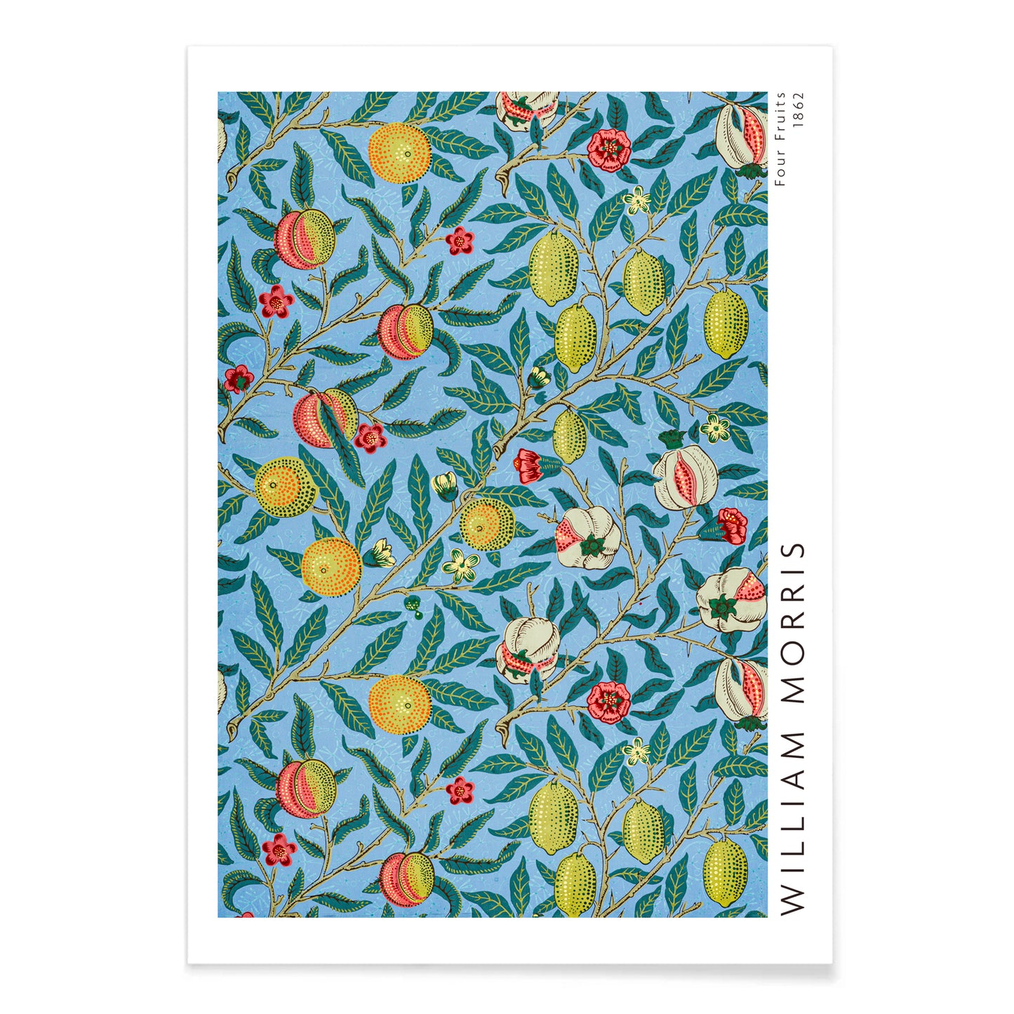 Colorful botanical wallpaper and poster featuring fruits and leaves from Four Fruits pattern by William Morris on blue background for wall decor, with black aluminium frame on white background