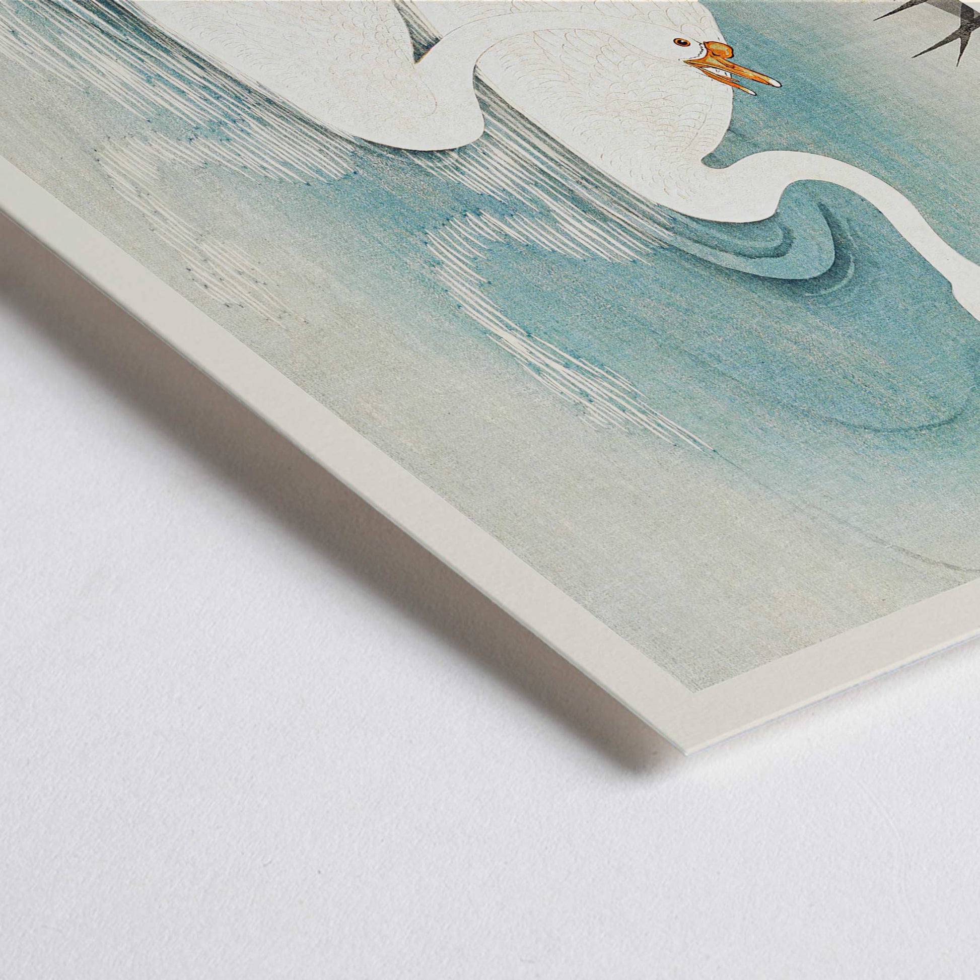 Closeup detail of White geese swimming among blue water and reeds Geese amid Reeds by Ohara Koson poster