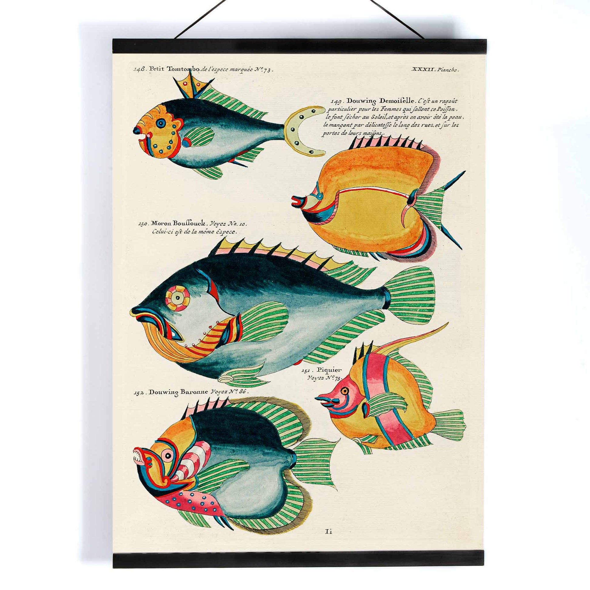 Colorful surreal fish illustrations from Histoire naturelle des plus rares curiositez by Louis Renard featuring exotic marine life of Moluccas and East Indies poster, with wooden magnetic frame on white background