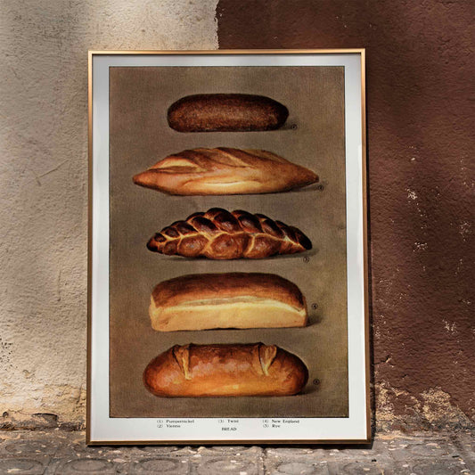 Vintage illustration and poster of assorted bread loaves from The Grocers Encyclopedia classic artwork, framed and displayed in home decor