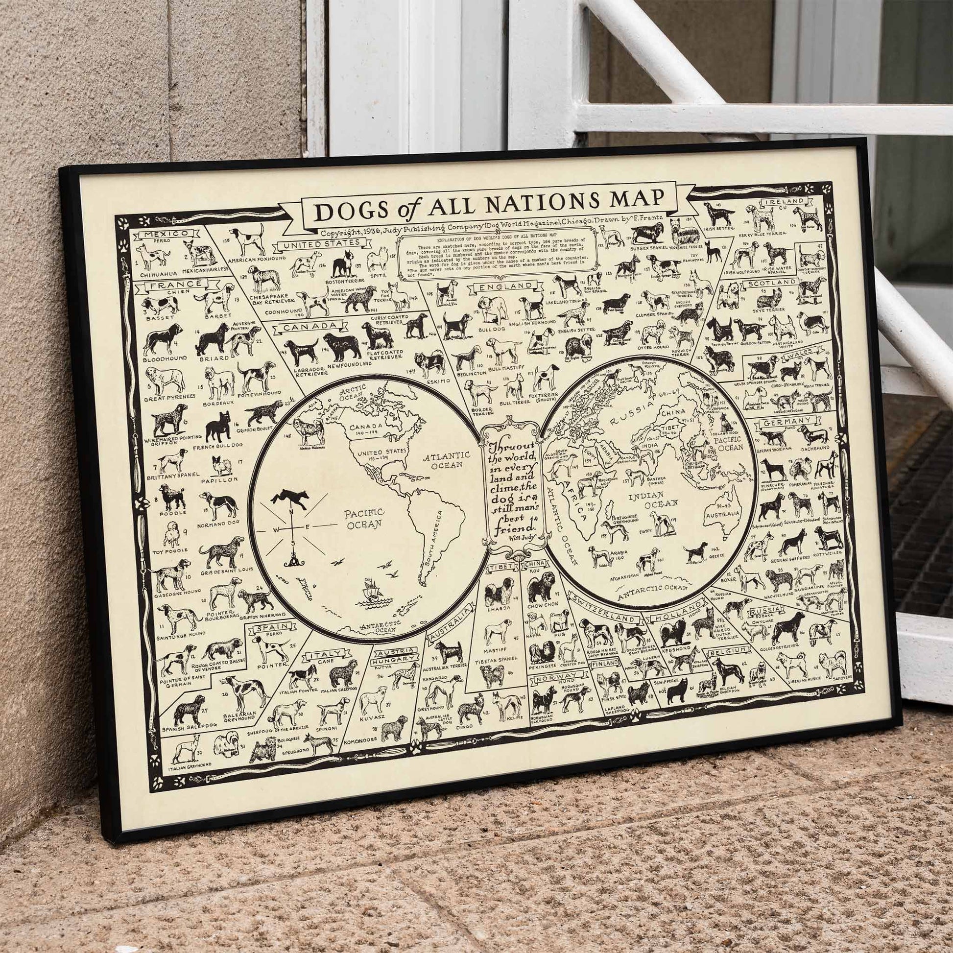 Dogs of All Nations Map by Frantz E illustrated poster featuring various dog breeds from around the world, framed and displayed in home decor
