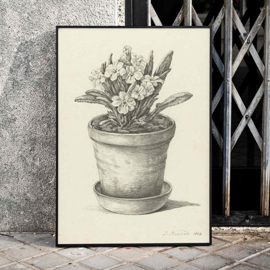 Black and white pencil drawing poster of a flowering plant in a clay pot titled Potplant by Jean Bernard, framed and displayed in home decor