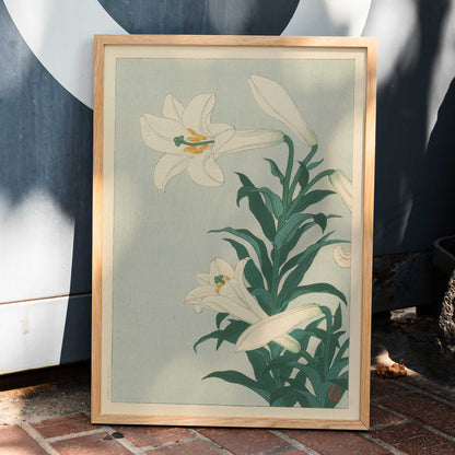 White lilies floral artwork by Ohara Koson with green leaves on light blue background poster Lelies flowers, framed and displayed in home decor