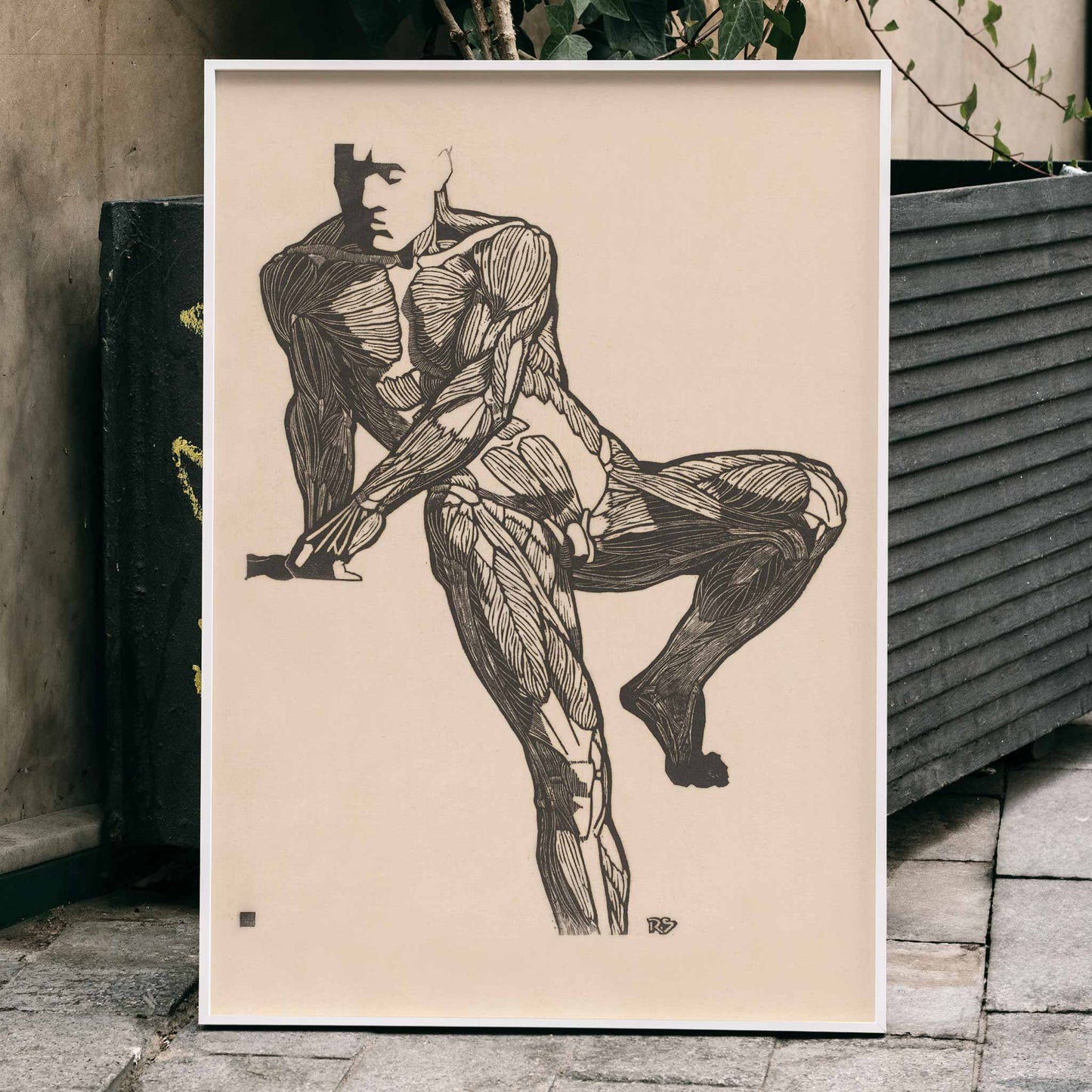 Detailed anatomical drawing of human chest muscles by Reijer Stolk showing a seated male figure poster artwork, framed and displayed in home decor