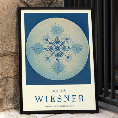 Frustules of Diatoms cyanotype artwork and poster by Julius Wiesner featuring intricate blue diatom designs on a circular background, framed and displayed in home decor
