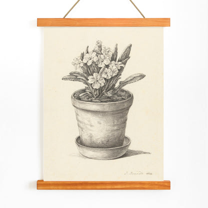 Black and white pencil drawing poster of a flowering plant in a clay pot titled Potplant by Jean Bernard, with wooden magnetic frame on white background