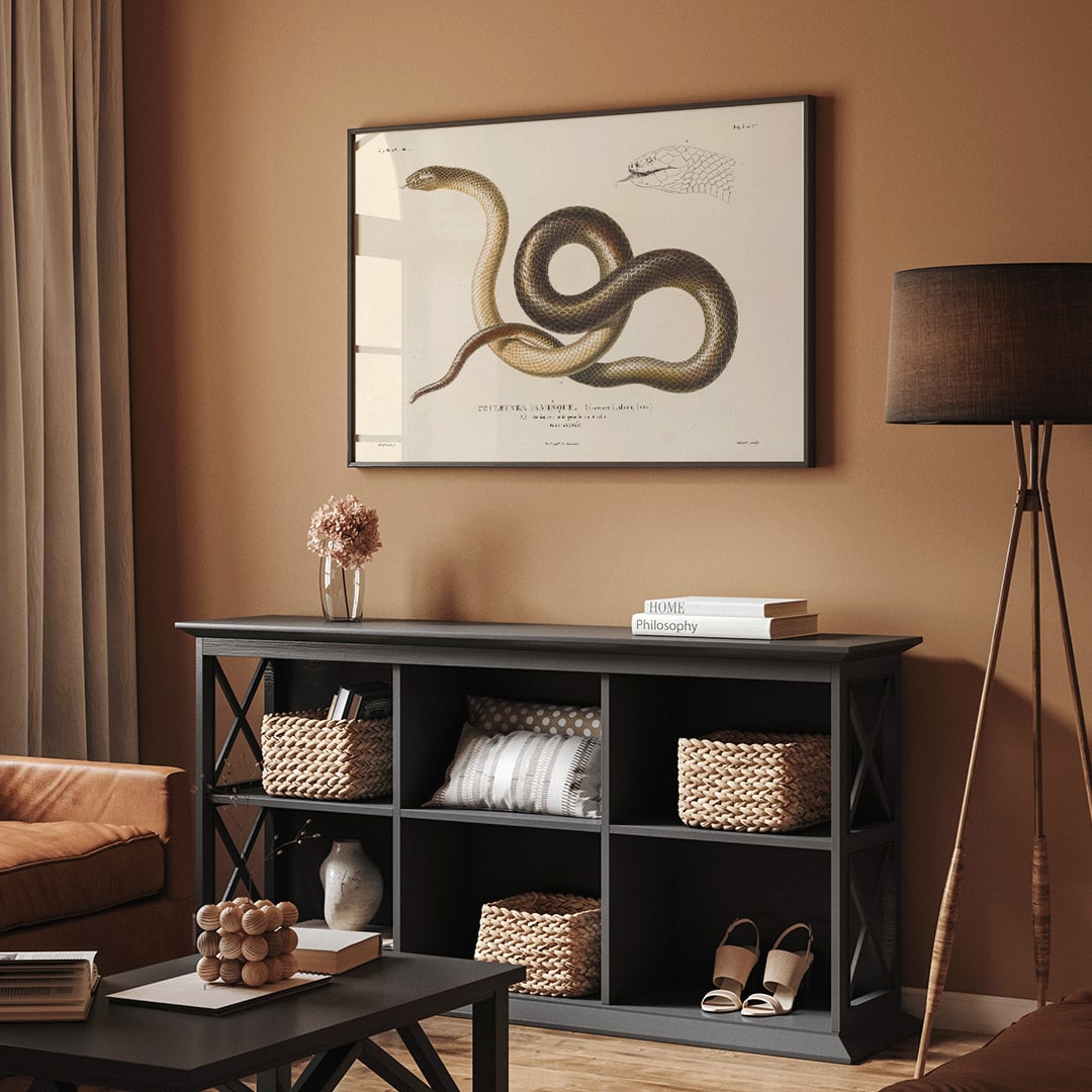 Detailed illustration of a snake by Louis-Isidore Duperrey from Voyage autour du monde Pl.005 poster, framed and displayed in home decor