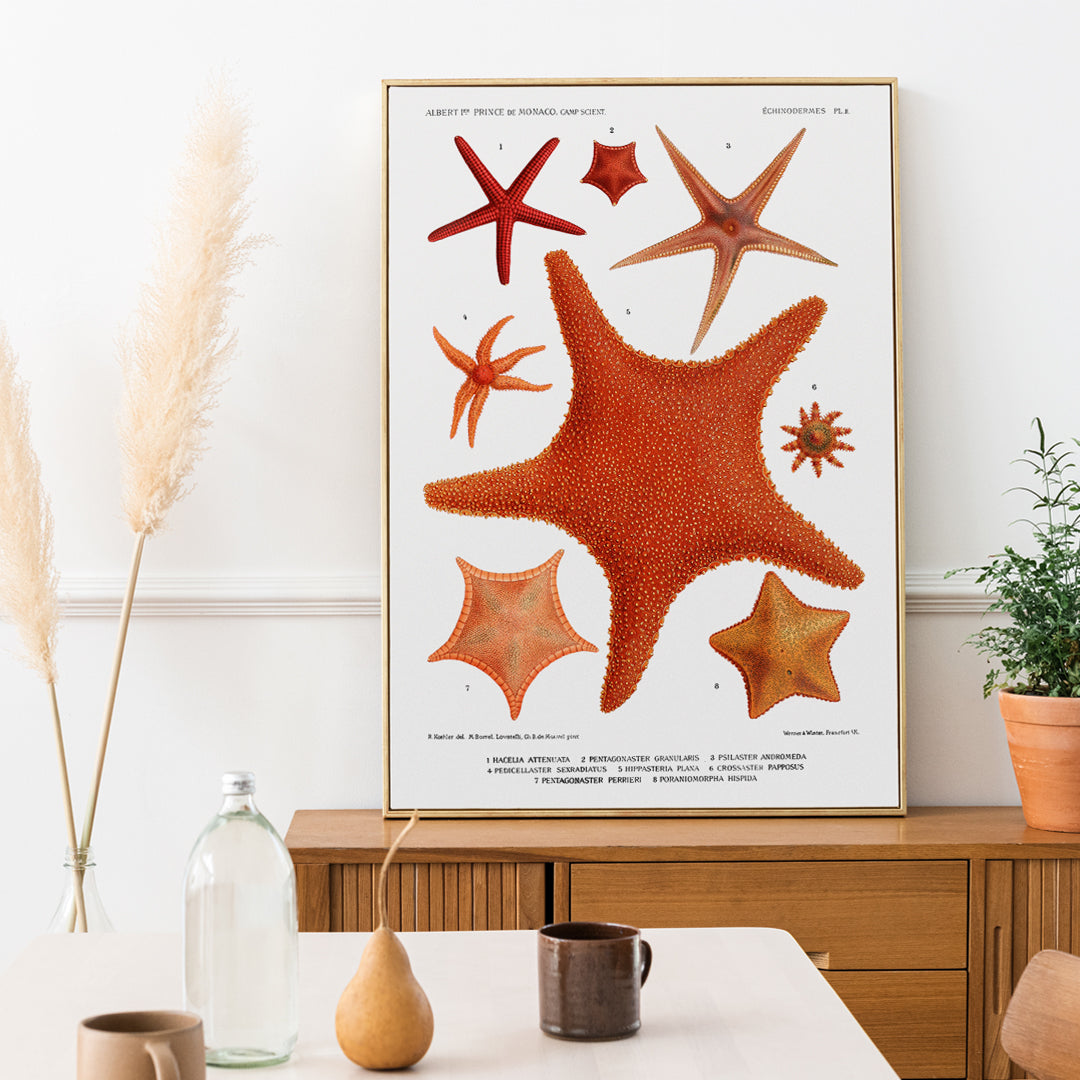 , framed and displayed in home decor