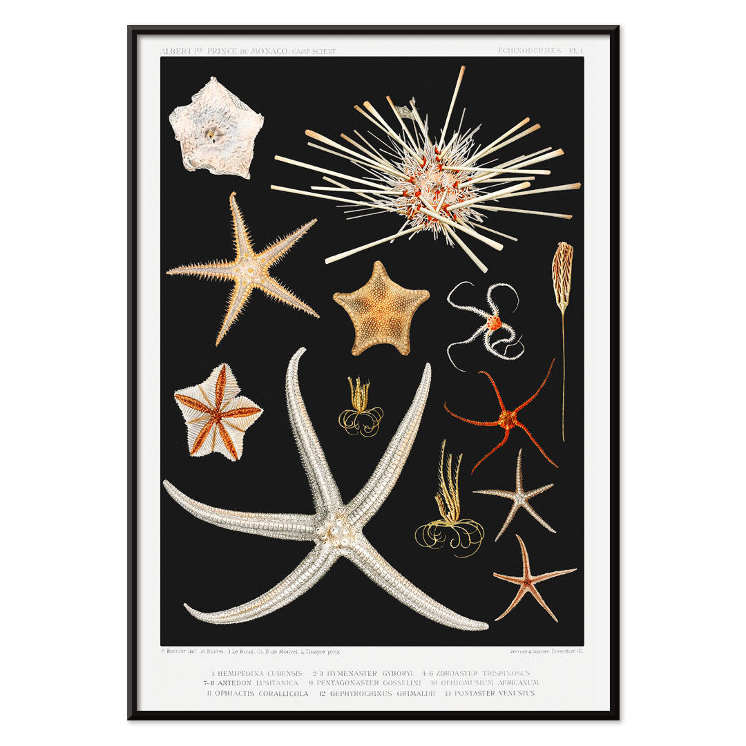 , with black aluminium frame on white background