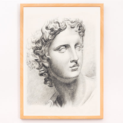 Closeup detail of Academy study of a mans head after a plaster cast antique statue by Johannes Tavenraat detailed drawing and poster