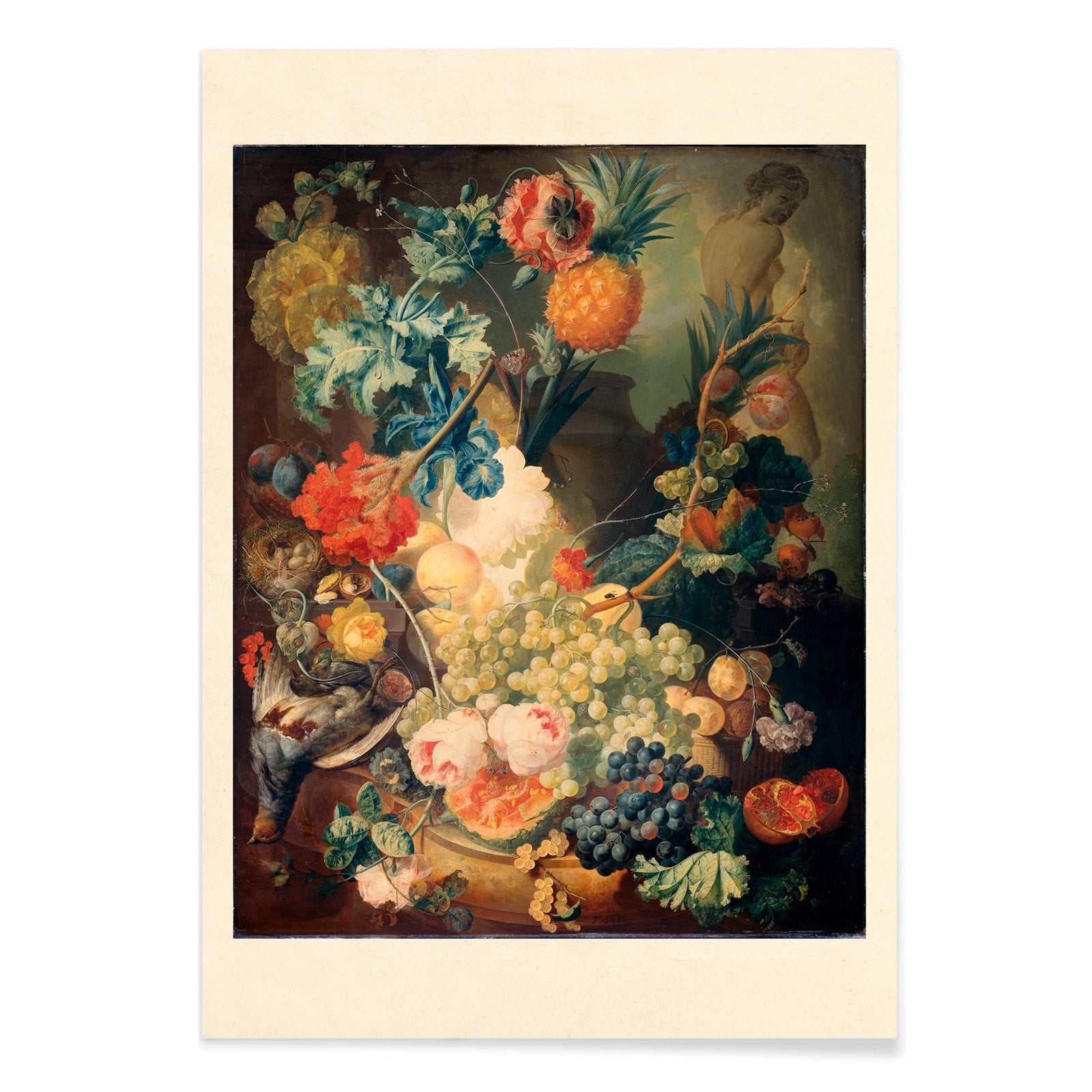 Vibrant flowers fruit and birds in classical artwork Flowers Fruit and Birds by Jan van Os poster still life, with black aluminium frame on white background