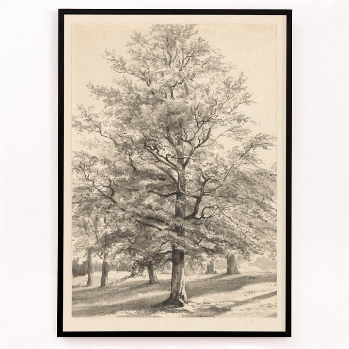 Closeup detail of Detailed drawing of a large tree in a sunlit natural landscape titled Big Tree by Cornelis Steffelaar poster
