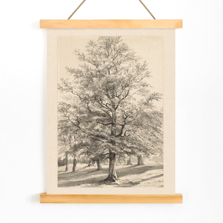 Detailed drawing of a large tree in a sunlit natural landscape titled Big Tree by Cornelis Steffelaar poster, with wooden magnetic frame on white background