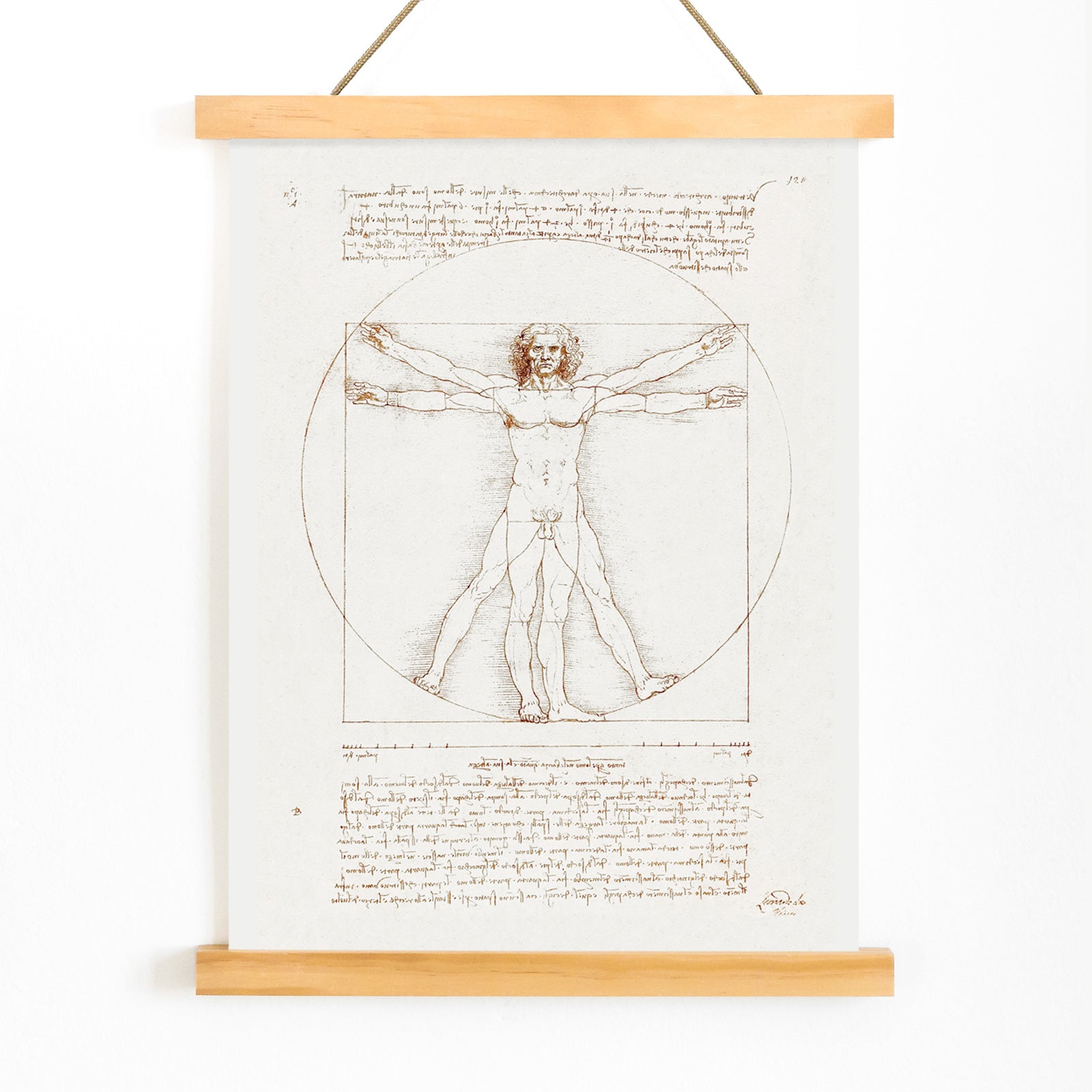 Vitruvian Man by Leonardo da Vinci human figure anatomical study with outstretched arms and legs inside circle and square geometric shapes artwork poster, with wooden magnetic frame on white background